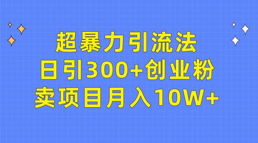 （9954期）超暴力引流法，日引300+创业粉，卖项目月入10W+-千寻创业网