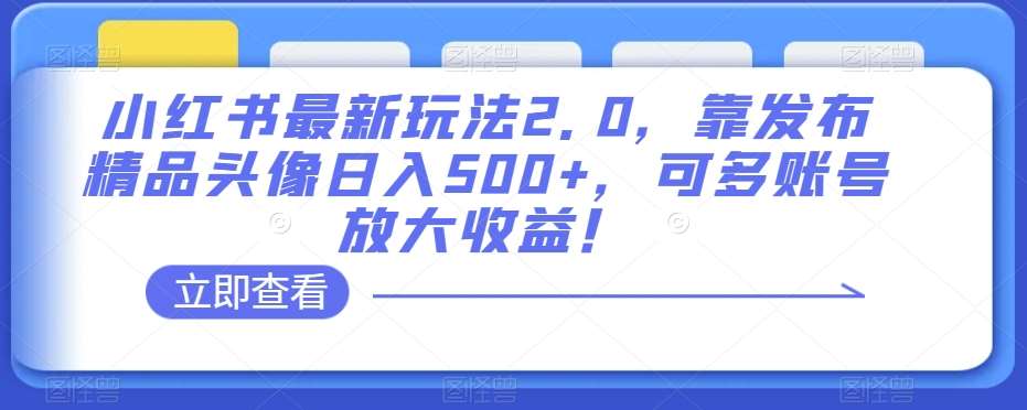 小红书最新玩法2.0，靠发布精品头像日入500+，可多账号放大收益！【揭秘】-千寻创业网