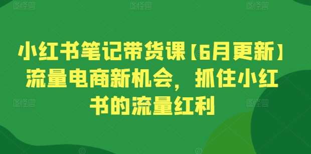 小红书笔记带货课【6月更新】流量电商新机会，抓住小红书的流量红利-千寻创业网