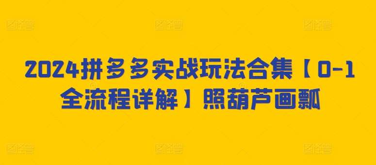 2024拼多多实战玩法合集【0-1全流程详解】照葫芦画瓢-千寻创业网