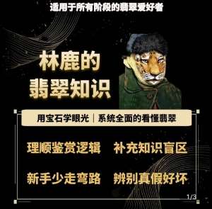 林鹿的翡翠知识，​用宝石眼光，系统全面的看懂翡翠-千寻创业网