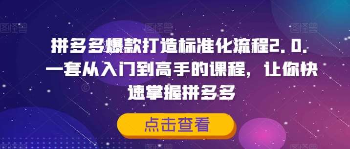 拼多多爆款打造标准化流程2.0，一套从入门到高手的课程，让你快速掌握拼多多-千寻创业网
