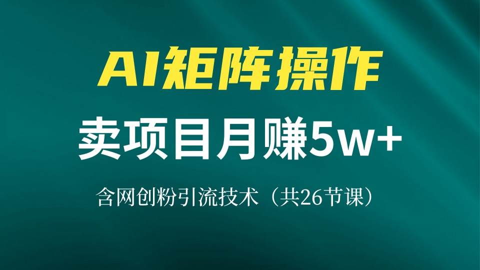 （13335期）网创IP打造课，借助AI卖项目月赚5万+，含引流技术（共26节课）-千寻创业网