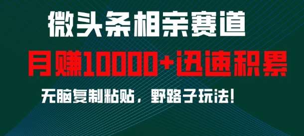 微头条相亲赛道，迅速积累，无脑复制粘贴，野路子玩法，月入1w-千寻创业网