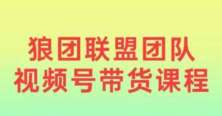狼团联盟2024视频号带货，0基础小白快速入局视频号-千寻创业网