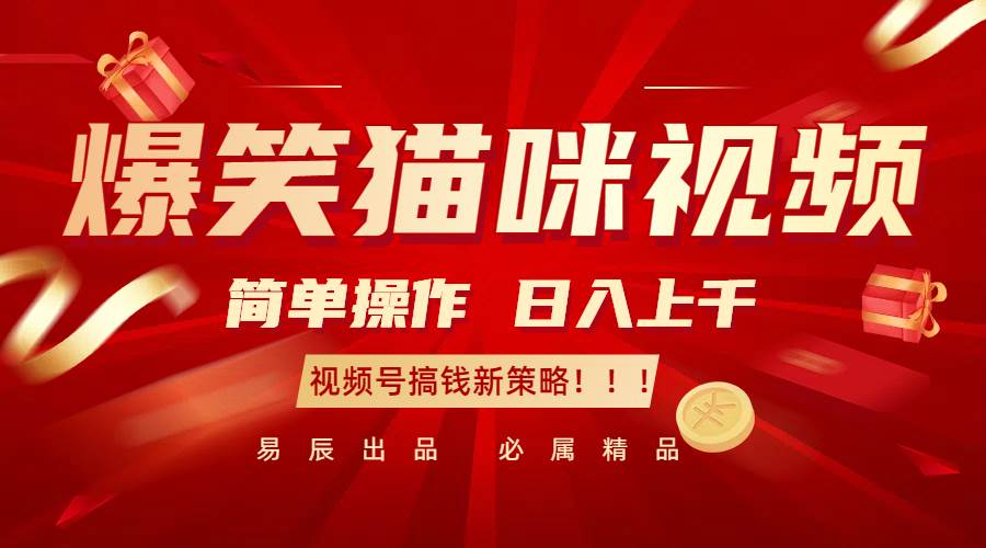 爆笑猫咪视频：简单操作，日入过千，视频号搞钱新策略！-千寻创业网