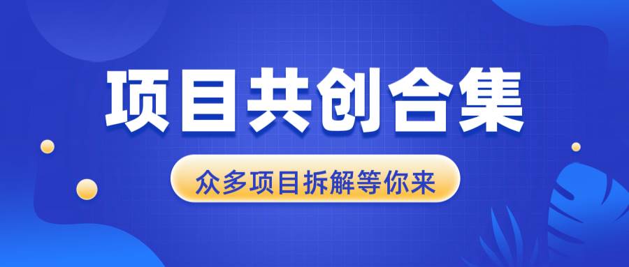 （13778期）项目共创合集，从0-1全过程拆解，让你迅速找到适合自已的项目-千寻创业网