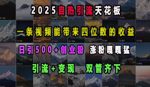 2025自热引流天花板，一条视频能带来四位数的收益，引流+变现双管齐下，日引500+创业粉，涨粉嘎嘎猛-千寻创业网