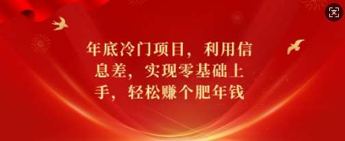 年底冷门项目，利用信息差，实现零基础上手，轻松赚个肥年钱【揭秘】-千寻创业网