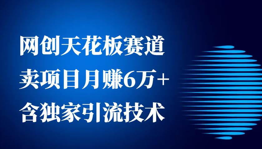 网创天花板赛道，卖项目月赚6万+，含独家引流技术（共26节课）-千寻创业网