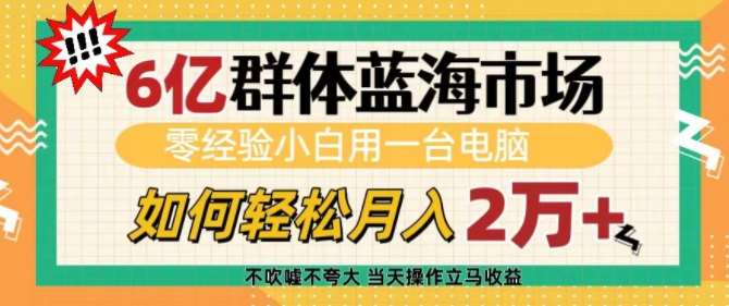 6亿群体蓝海市场，零经验小白用一台电脑，如何轻松月入过w【揭秘】-千寻创业网