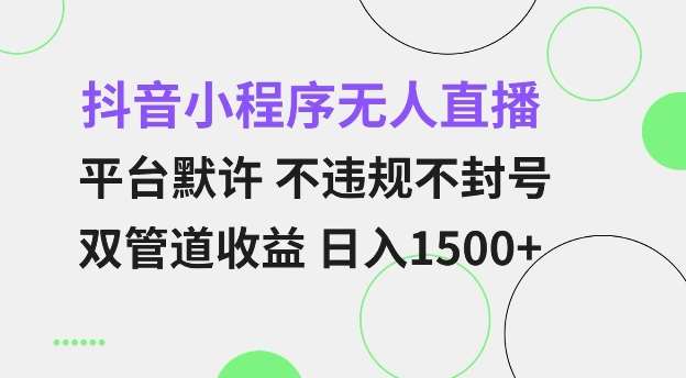 抖音小程序无人直播 平台默许 不违规不封号 双管道收益 日入多张 小白也能轻松操作【仅揭秘】-千寻创业网