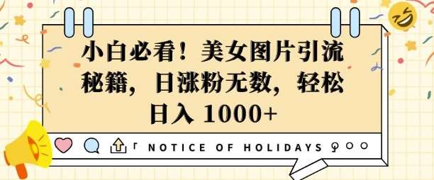 小白必看，美女图片引流秘籍，日涨粉无数，轻松日入几张【揭秘】-千寻创业网