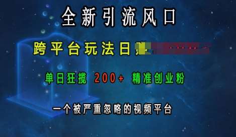 全新引流风口，跨平台玩法日入上k，单日狂揽200+精准创业粉，一个被严重忽略的视频平台-千寻创业网