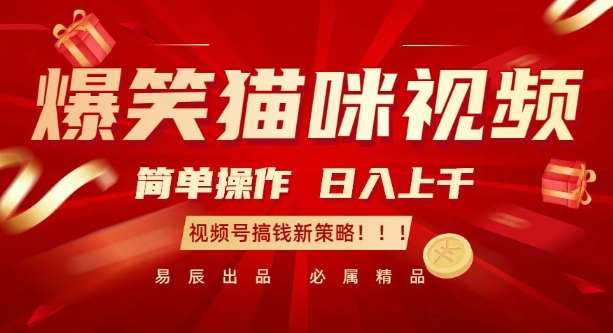 爆笑猫咪视频：简单操作，日入过K，视频号搞钱新策略【揭秘】-千寻创业网