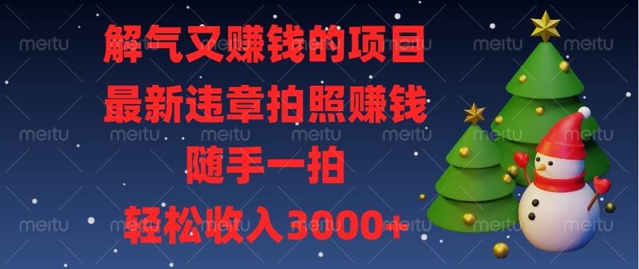 （13804期）解气又赚钱的项目，最新违章拍照赚钱，随手一拍，轻松收入3000+-千寻创业网