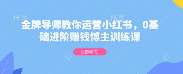 金牌导师教你运营小红书，0基础进阶赚钱博主训练课-千寻创业网