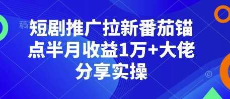 短剧推广拉新番茄锚点半月收益1万+大佬分享实操-千寻创业网