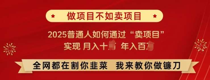 必看!做项目不如卖项目，2025普通人如何通过“卖项目”实现月入十个，年入百个【揭秘】-千寻创业网
