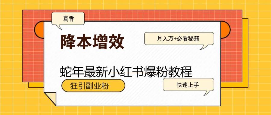 蛇年最新小红书爆粉教程，狂引副业粉，月入万+必看-千寻创业网