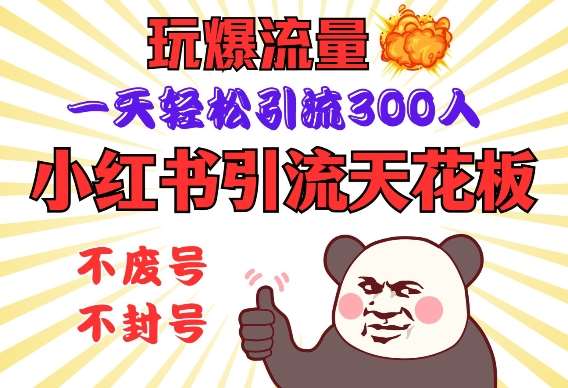 小红书引流天花板，玩爆流量，一天轻松引流300人，安全操作-千寻创业网