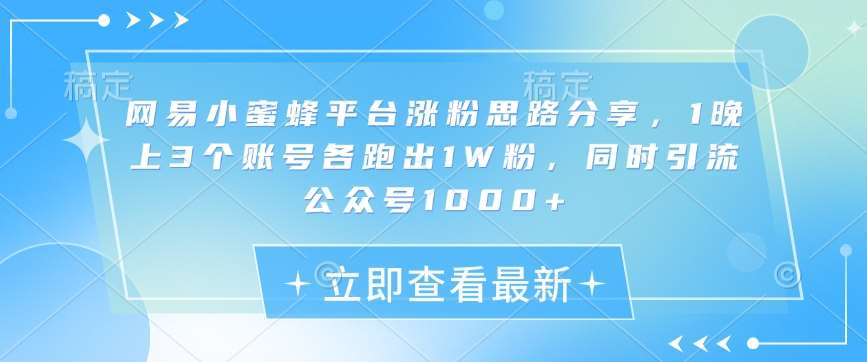 网易小蜜蜂平台涨粉思路分享，1晚上3个账号各跑出1W粉，同时引流公众号1000+-千寻创业网