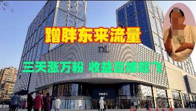 蹭胖东来流量，三天涨万粉，收益直接起飞-千寻创业网