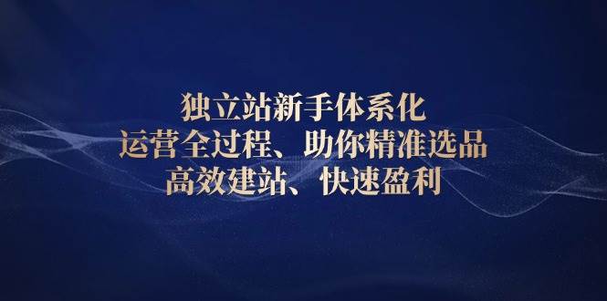 （13914期）独立站新手体系化 运营全过程，助你精准选品、高效建站、快速盈利-千寻创业网