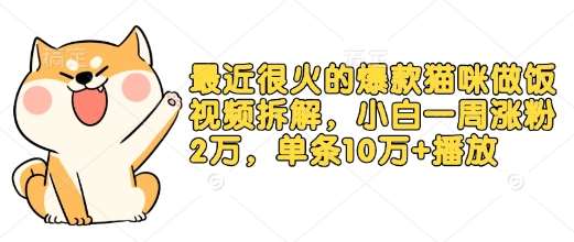 最近很火的爆款猫咪做饭视频拆解，小白一周涨粉2万，单条10万+播放(附保姆级教程)-千寻创业网