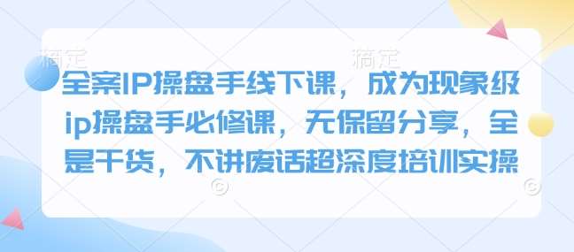全案IP操盘手线下课，成为现象级ip操盘手必修课，无保留分享，全是干货，不讲废话超深度培训实操-千寻创业网