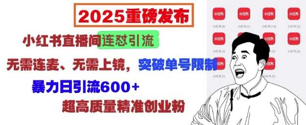 2025重磅发布：小红书直播间连怼引流，无需连麦、无需上镜，突破单号限制，暴力日引流600+-千寻创业网