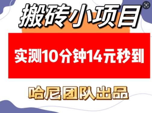 搬砖小项目，实测10分钟14元秒到，每天稳定几张(赠送必看稳定)-千寻创业网