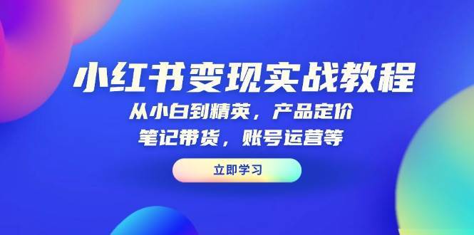 小红书变现实战教程：从小白到精英，产品定价，笔记带货，账号运营等-千寻创业网