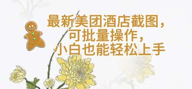 【轻云】最新美团酒店截图，可批量操作，小白也能轻松上手-千寻创业网