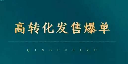 高转化发售爆单，引爆私域成交，打破运营全链-千寻创业网