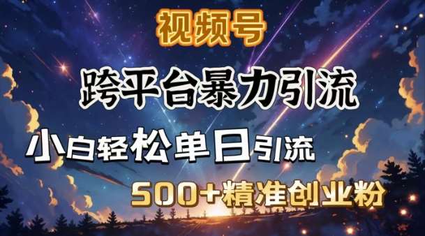 跨平台暴力引流，私域完美闭环，日引500+精准创业粉-千寻创业网
