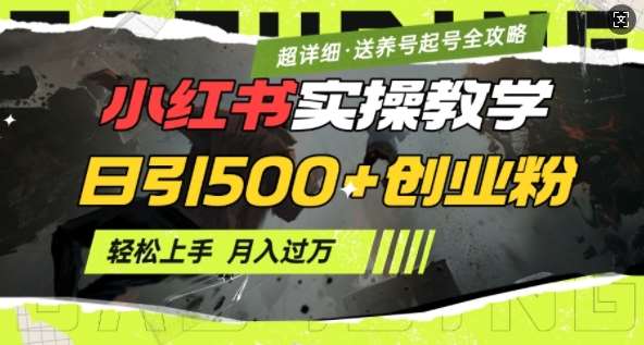 2月小红书最新日引500+创业粉实操教学【超详细】小白轻松上手，月入1W+，附小红书养号起号SOP-千寻创业网
