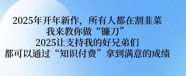 2025年开年新作，所有人都在割韭菜，我来教你做“镰刀” 2025让支持我的好兄弟们都可以通过“知识付费”拿到满意的成绩【揭秘】-千寻创业网