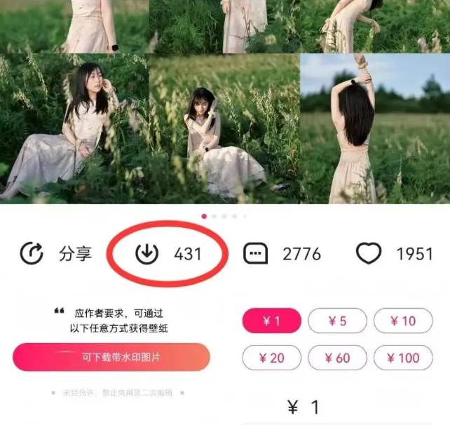 图片[2]-最新图虫搬运项目，收益无上限，利用AI小白也可日赚500+-千寻创业网