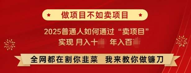必看，做项目不如卖项目，2025普通人如何通过“卖项目”实现月入十个，年入百个-千寻创业网