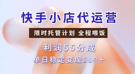 快手小店代运营，限时托管计划，收益55分，单日稳定变现多张【揭秘】-千寻创业网