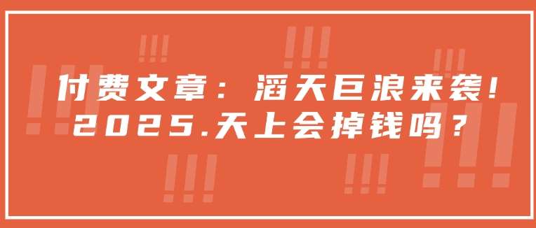 付费文章：滔天巨浪来袭！2025天上会掉钱吗？-千寻创业网