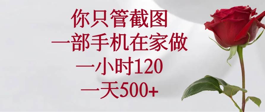 （14248期）你只管截图，一部手机在家做，一小时120，一天500+-千寻创业网