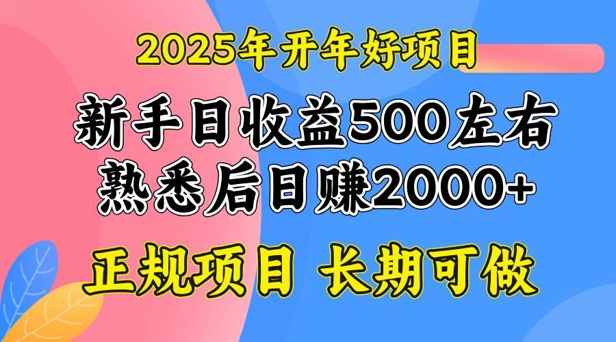 （14076期）2025开年好项目，单号日收益2000左右-千寻创业网