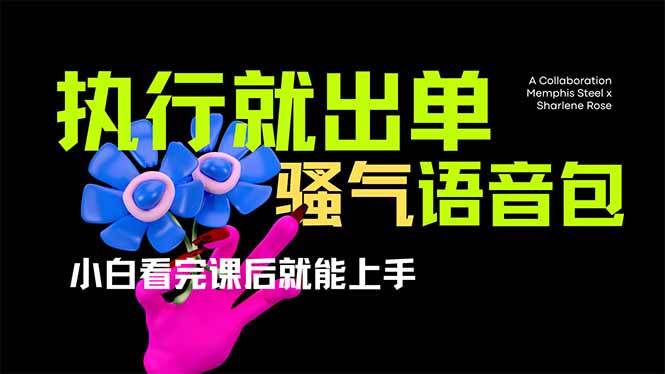 （14170期）爆火全网的开车导航骚气语音包,只要执行就出单，小白看完课程就能实操…-千寻创业网