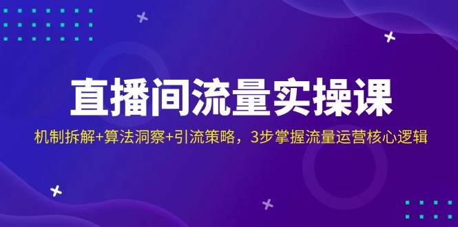 （14122期）直播间流量实操课：机制拆解+算法洞察+引流策略，3步掌握流量运营核心逻辑-千寻创业网
