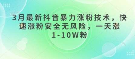 3月最新抖音暴力涨粉技术，快速涨粉安全无风险，一天涨1-10W粉-千寻创业网