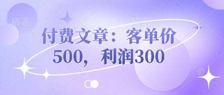 付费文章：客单价500，利润300-千寻创业网