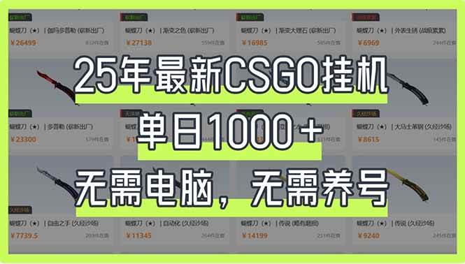 （14178期）25年最新CSGO挂机系统，单日1000+，无需电脑，无需养号，0基础可上手-千寻创业网
