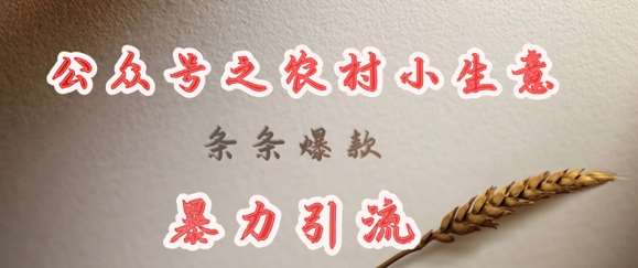 deepseek写农村小项目，条条爆款，暴力引流-千寻创业网